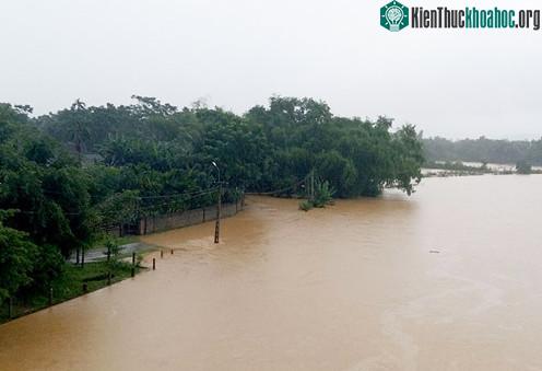 Nước từ thượng nguồn đổ về khiến nước lũ các sông từ Thanh Hóa đến Hà Tĩnh dâng cao. (Ảnh: Đức Hùng).