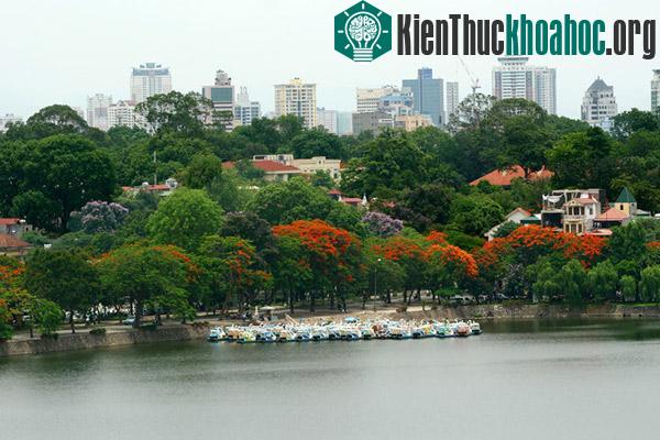 Những khoảng cây xanh của Hà Nội nhìn từ trên cao