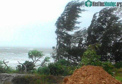 Bão số 1 tấn công Quảng Ninh, Hải Phòng