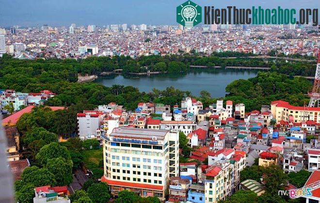 Ngắm những tuyến đường rợp bóng cây xanh ở Hà Nội- ảnh 3