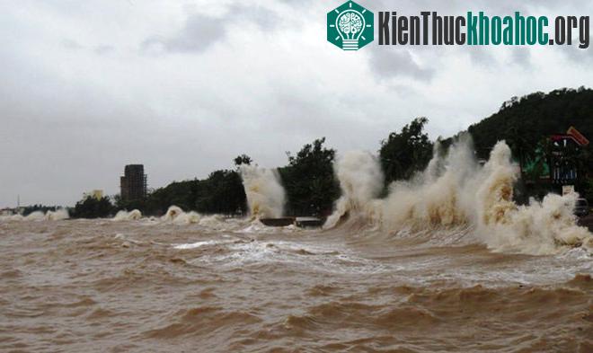 TP Hải Phòng từng có người chết vì xem bão, vì thế lực lượng chức năng của quận đã được cắt cử túc trực, không cho người dân tiếp cận tuyến đường ven biển, chụp ảnh, xem hoàn lưu sau bão, phòng trá...