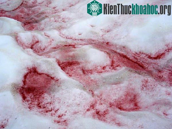 Những "kỳ quan" từ trên trời rơi xuống