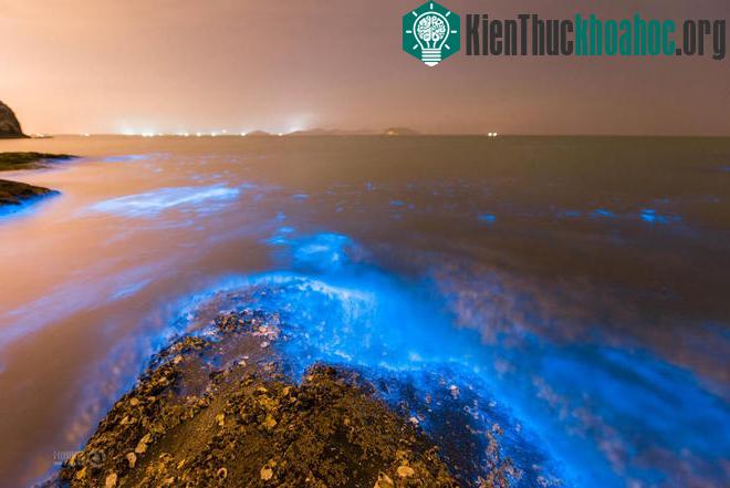 Kinh ngạc với bờ biển sáng xanh kỳ lạ ở Trung Quốc