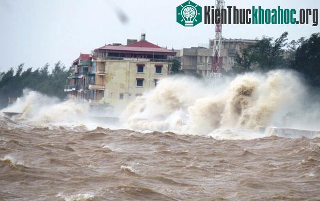Một chủ của hàng kinh doanh lâu năm tại khu 1 Đồ Sơn cho hay, người dân sống ở đây quen với bão gió rồi. "Bão vào chúng tôi không sợ bằng khi bão đi qua. Khi đó gió Nam thốc lên kết hợp với đỉ...