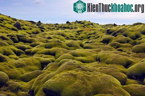 Tuyển tập địa danh "siêu thực" kỳ quái tồn tại trên Trái đất- ảnh 4