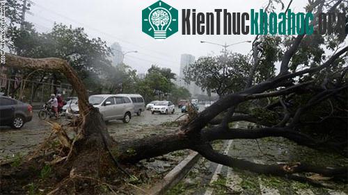 Philippines sau khi bão Thần Sấm đi qua