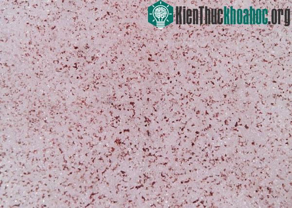 Giật mình với tuyết màu đỏ như máu