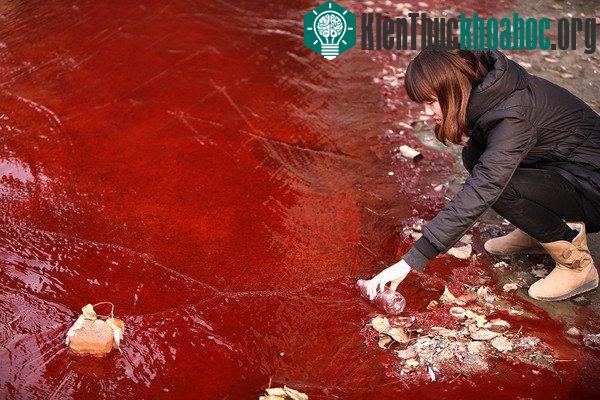 Chùm ảnh kinh hoàng về tình hình cạn kiệt nước sạch trên toàn thế giới