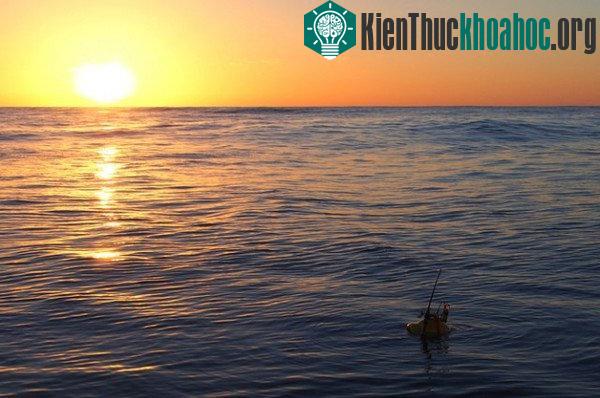 Đại dương có vẻ yên bình nhưng ẩn sâu dưới đáy là những cơn địa chấn ngầm đáng sợ
