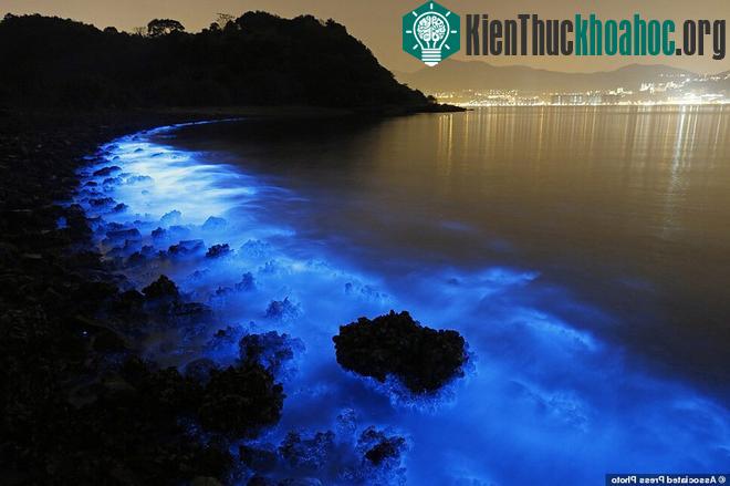 Kinh ngạc với bờ biển sáng xanh kỳ lạ ở Trung Quốc