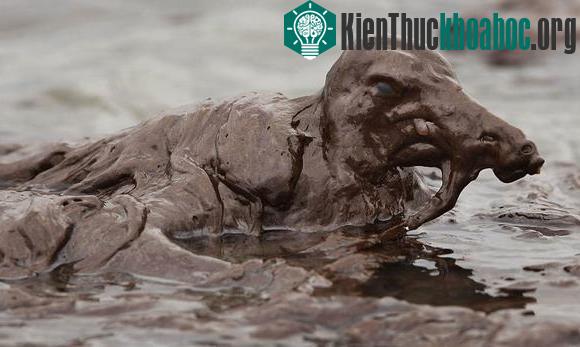 Chùm ảnh sốc về ô nhiễm môi trường