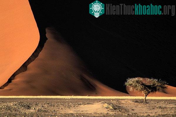 Tuyển tập địa danh "siêu thực" kỳ quái tồn tại trên Trái đất- ảnh 5