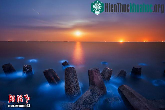 Kinh ngạc với bờ biển sáng xanh kỳ lạ ở Trung Quốc