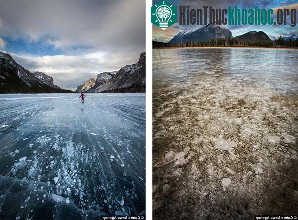 Chiêm ngưỡng hiện tượng "sứa băng" kỳ lạ ở Canada