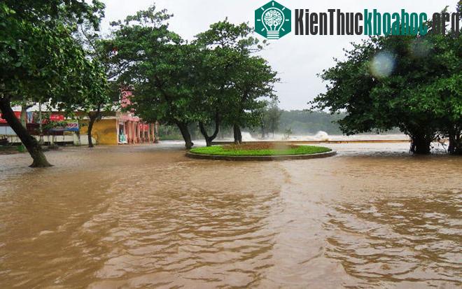 Quận Đồ Sơn thành biển nước.