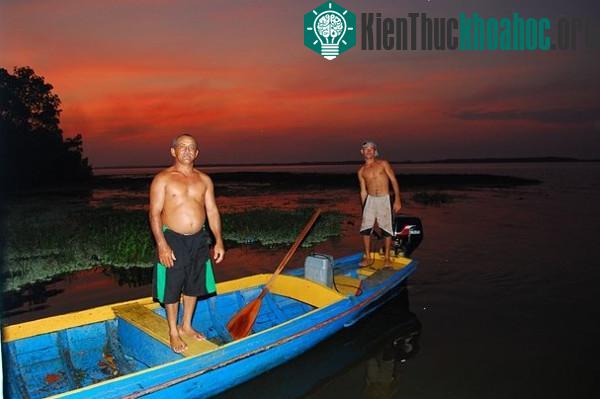 Dân địa phương dùng ánh sáng của sấm sét để đánh bắt cá - (Ảnh: The Guardian).