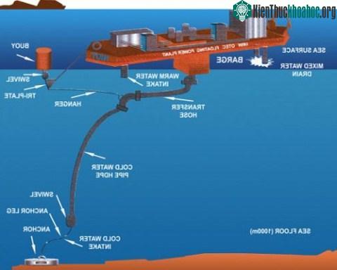 Dựa trên sự khác biệt về nhiệt độ nước bề mặt và lòng sâu, điện có thể được tạo ra