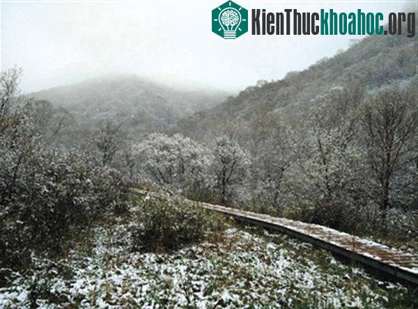 Tuyết rơi mùa hè ở Trung Quốc