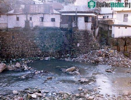 10 hiểm họa lớn nhất đối với môi trường và con người