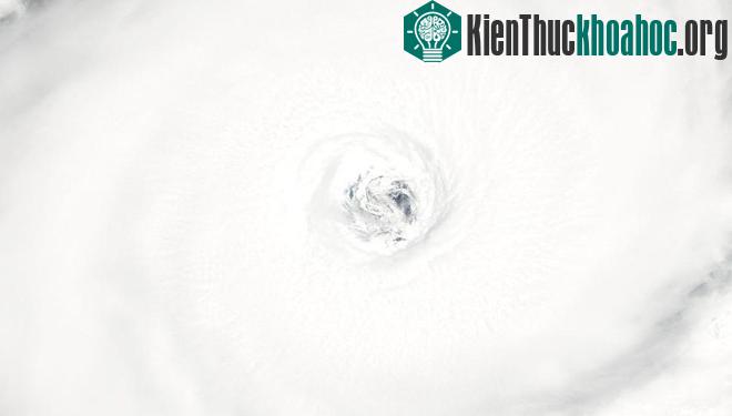Bão song sinh Goni và Atsani tiến thẳng vào Đông Á