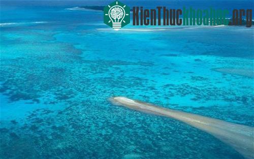 8 hòn đảo tử thần trên thế giới