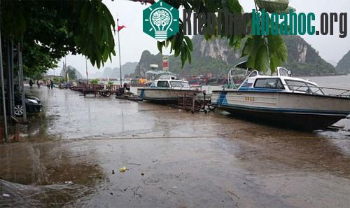 Xuồng tuần tra của lực lượng cảnh sát được đưa lên bờ ở cảng Cái Rồng. (Ảnh: Thanh Tùng)
