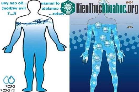 Bí kíp làm sạch nước bẩn sau bão lũ