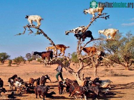 Những hiện tượng thiên nhiên bí ẩn