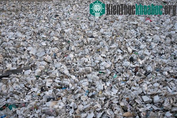 Chùm ảnh kinh hoàng về tình hình cạn kiệt nước sạch trên toàn thế giới
