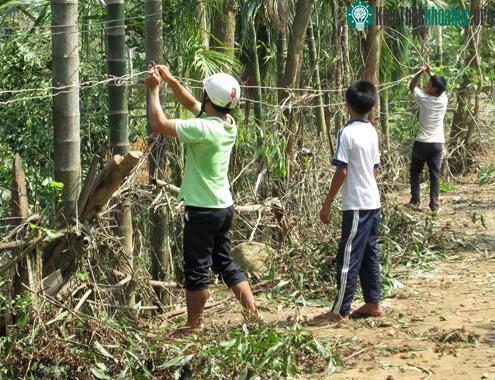 Hiện, nhiều khu vực ở xã Sơn Linh vẫn chưa có nguồn điện trở lại vì hệ thống dây điện bị đứt chưa thể khắc phục. Con số thiệt hại vẫn chưa thể thống kê. Trao đổi với PV, ông Nhâm Xuân Sỹ, giám đốc ...