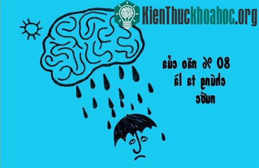 Bí kíp làm sạch nước bẩn sau bão lũ