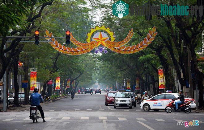 Ngắm những tuyến đường rợp bóng cây xanh ở Hà Nội- ảnh 10