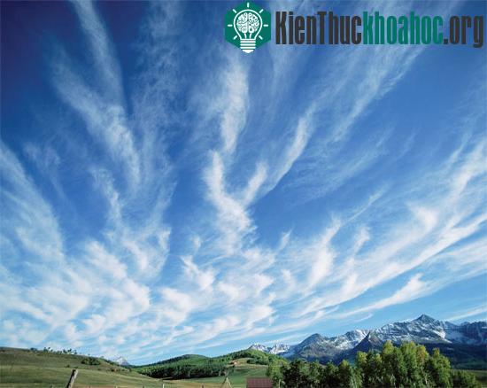 Trong tương lai, lượng khí CO2&nbsp;trong bầu khí quyển sẽ không đủ dùng cho cây xanh. (Ảnh: Internet)