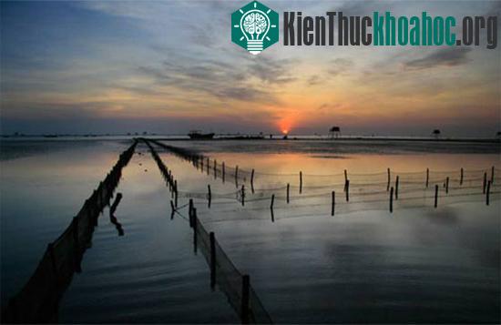 Biển Đồng Châu thuộc huyện Tiền Hải, Thái Bình. (Ảnh: Internet)