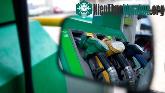 Nhật có công nghệ sản xuất nhiên liệu giá rẻ từ rơm