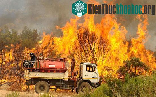 Mexico đẩy mạnh bảo vệ rừng mùa khô hạn
