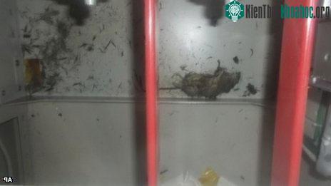 Xác chuột chết được phát hiện trong hộp&nbsp;điện tại hệ thống làm lạnh bể chứa nhiên liệu.