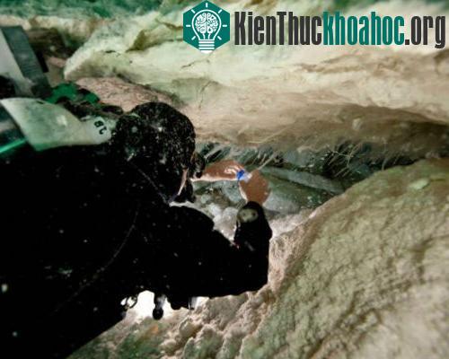Các thợ lặn Úc đã phát hiện ra hang động có lớp chất&nbsp;nhày kỳ lạ nằm sâu dưới biển tại vùng Nullarbor