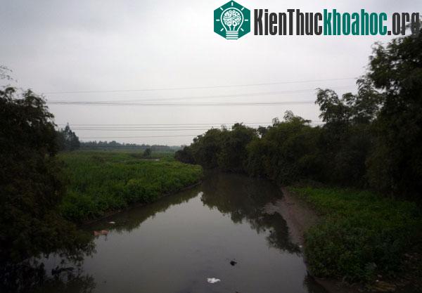 Nước sông&nbsp;Nhuệ và sông Đáy ô nhiễm nặng
