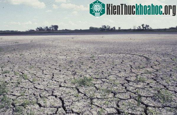 Biến đổi khí hậu gây ra rất nhiều hậu quả cho con người