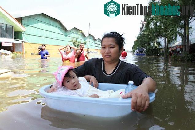 Các đô thị châu Á liên tiếp gánh thảm họa ảnh 0