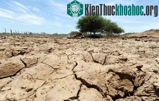 Hiện tượng thời tiết El Nino có thể sắp xuất hiện ảnh 0