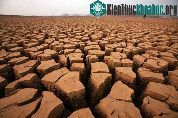 Triều Tiên bị hạn hán nặng nhất trong 5 thập kỷ qua
