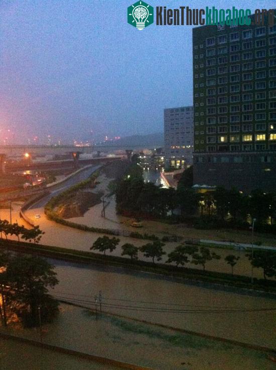 Tại một số thành phố lớn, trường học đã phải tạm đóng cửa.