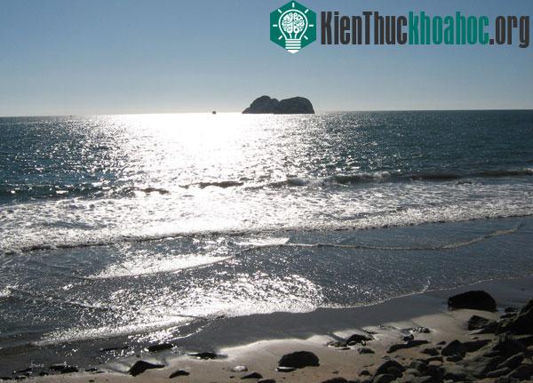 Động đất mạnh ngoài khơi bờ biển Mexico ảnh 0