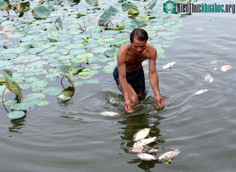 Điểm nóng phơi nhiễm chất độc da cam - dioxin tại sân bay Đà Nẵng gây chết cá khiến thành phố từ lâu ra khuyến cáo người dân không nuôi, trồng nông - thủy sản khu vực này. (Ảnh: Trà Bang)
