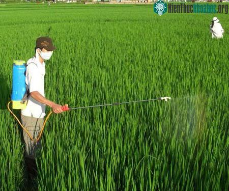 Hoạt động nông nghiệp gây phát thải khí nhà kính cao (Ảnh chụp tại cánh đồng huyện Mê Linh -&nbsp; Hà Nội)