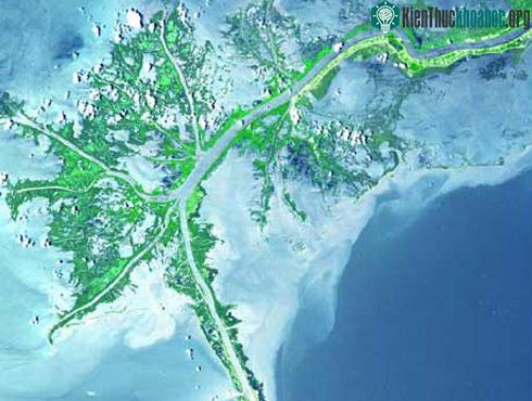 Đồng bằng sông Mississippi. (Ảnh: NASA)