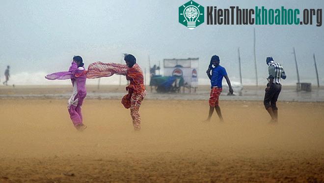 Người dân Ấn Độ chống chọi với gió mạnh do bão Nilam hôm 31/10 - (Ảnh: Reuters)