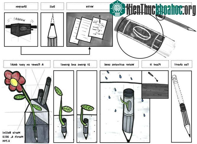 “Cây” bút chì ảnh 1